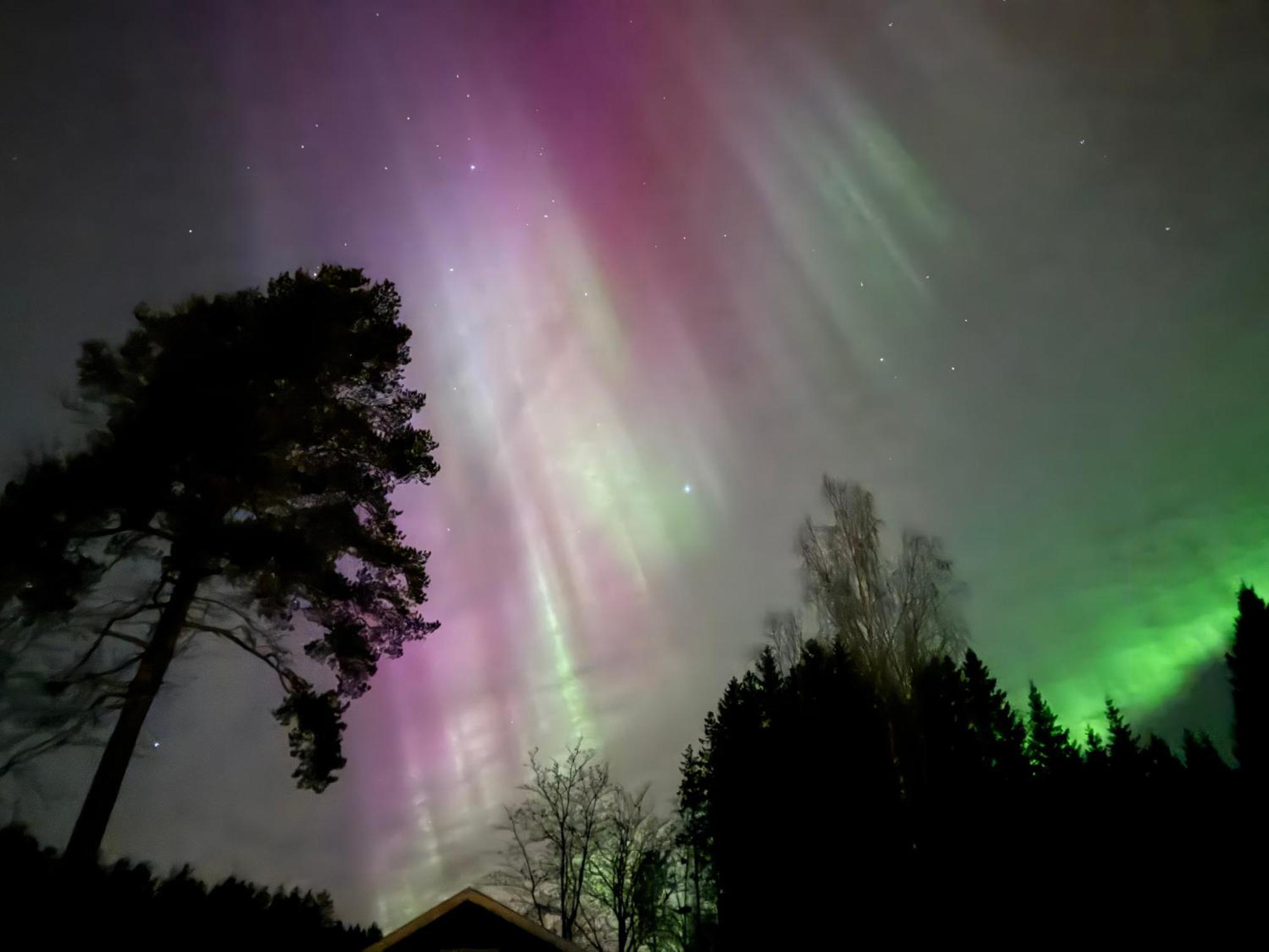 Ett hus med 3 sovrum med supersnabba internet fiberanslutningen 1000mb-100mb i Hög, 7 minuter från Hudiksvall Exteriör bild