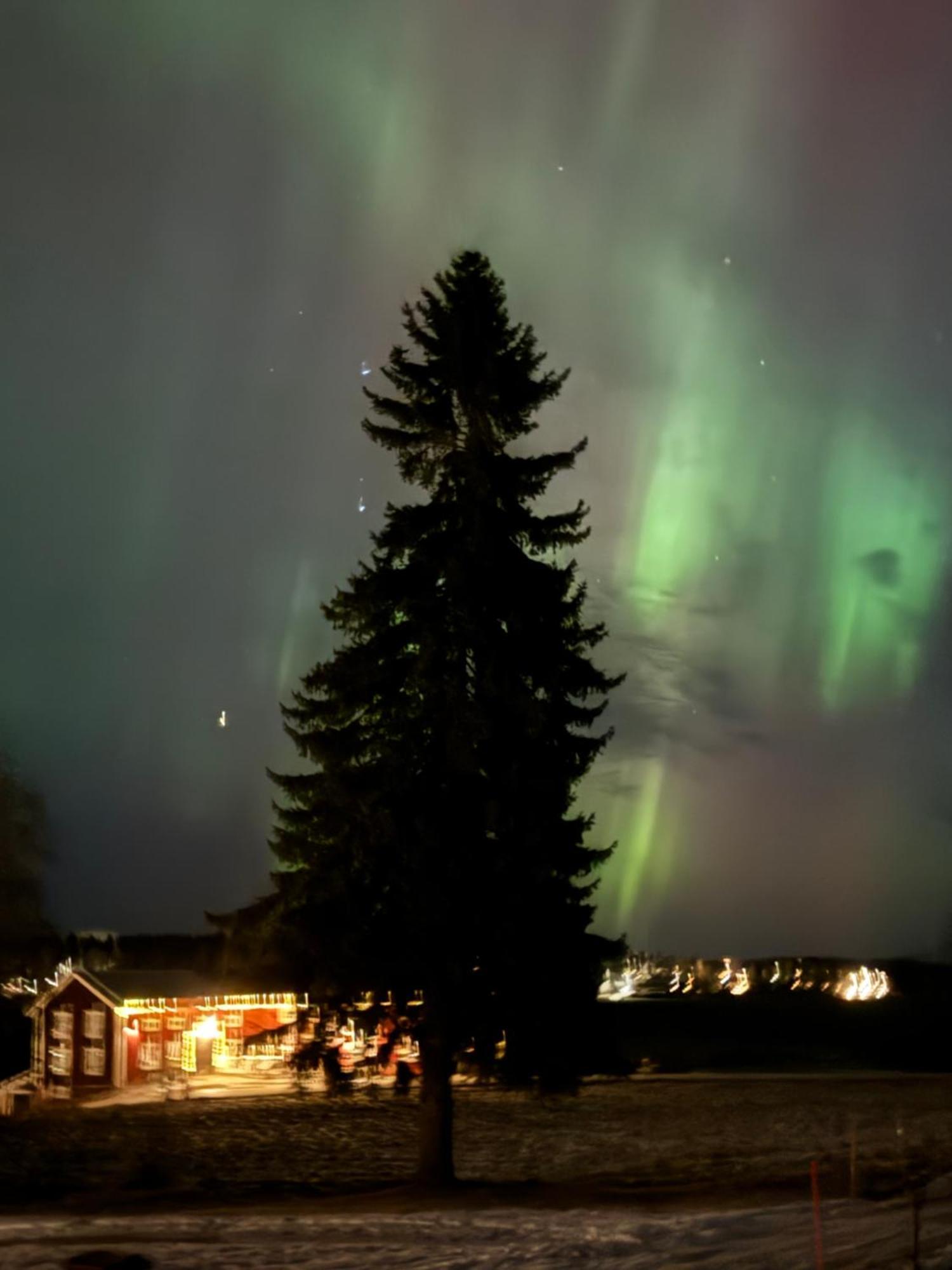 Ett hus med 3 sovrum med supersnabba internet fiberanslutningen 1000mb-100mb i Hög, 7 minuter från Hudiksvall Exteriör bild