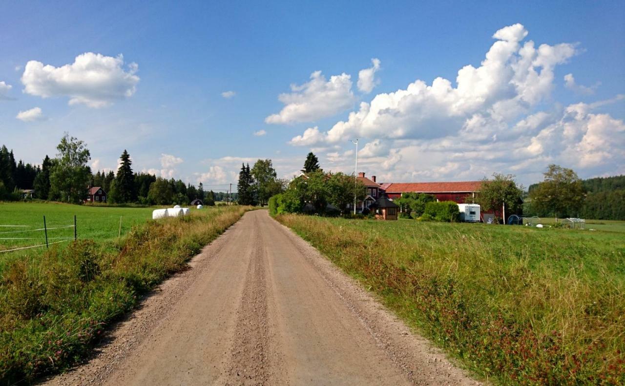 Ett hus med 3 sovrum med supersnabba internet fiberanslutningen 1000mb-100mb i Hög, 7 minuter från Hudiksvall Exteriör bild