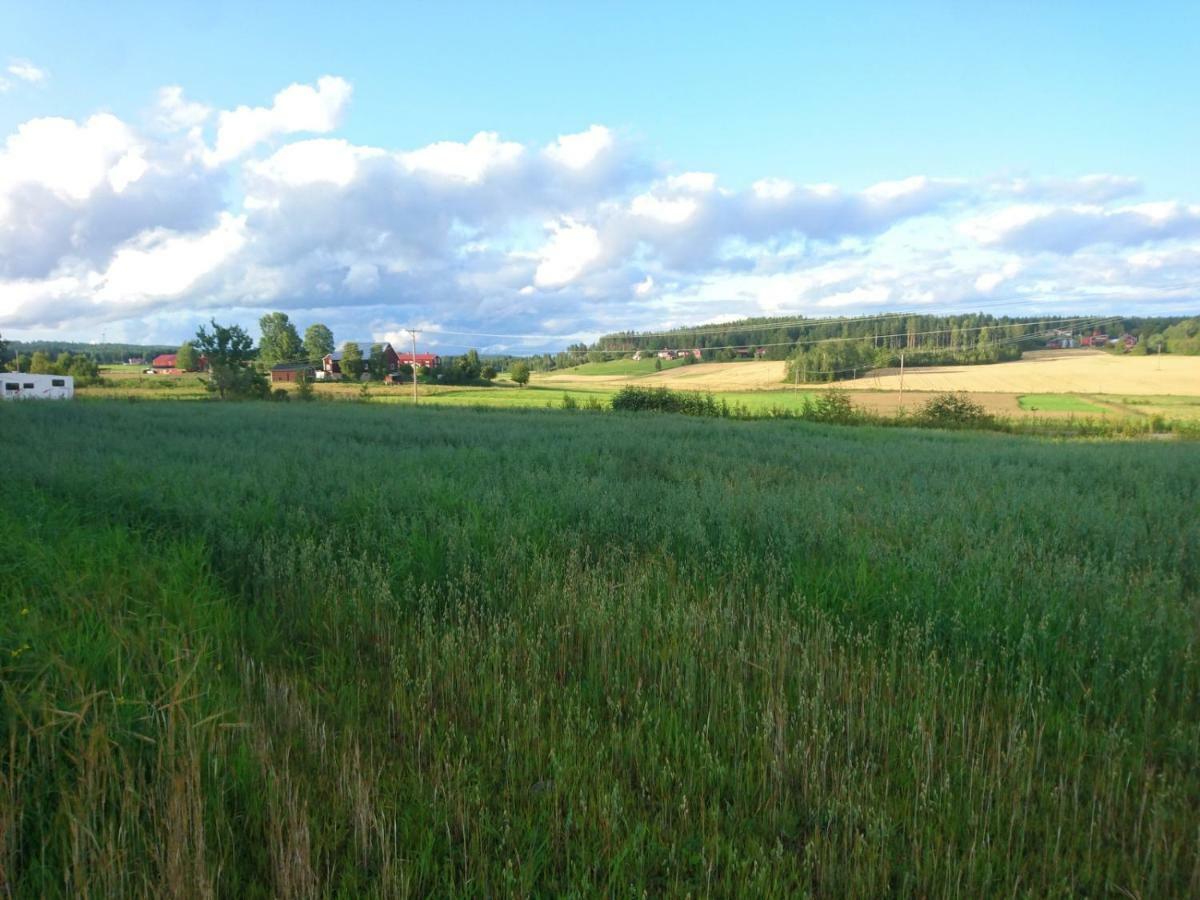 Ett hus med 3 sovrum med supersnabba internet fiberanslutningen 1000mb-100mb i Hög, 7 minuter från Hudiksvall Exteriör bild
