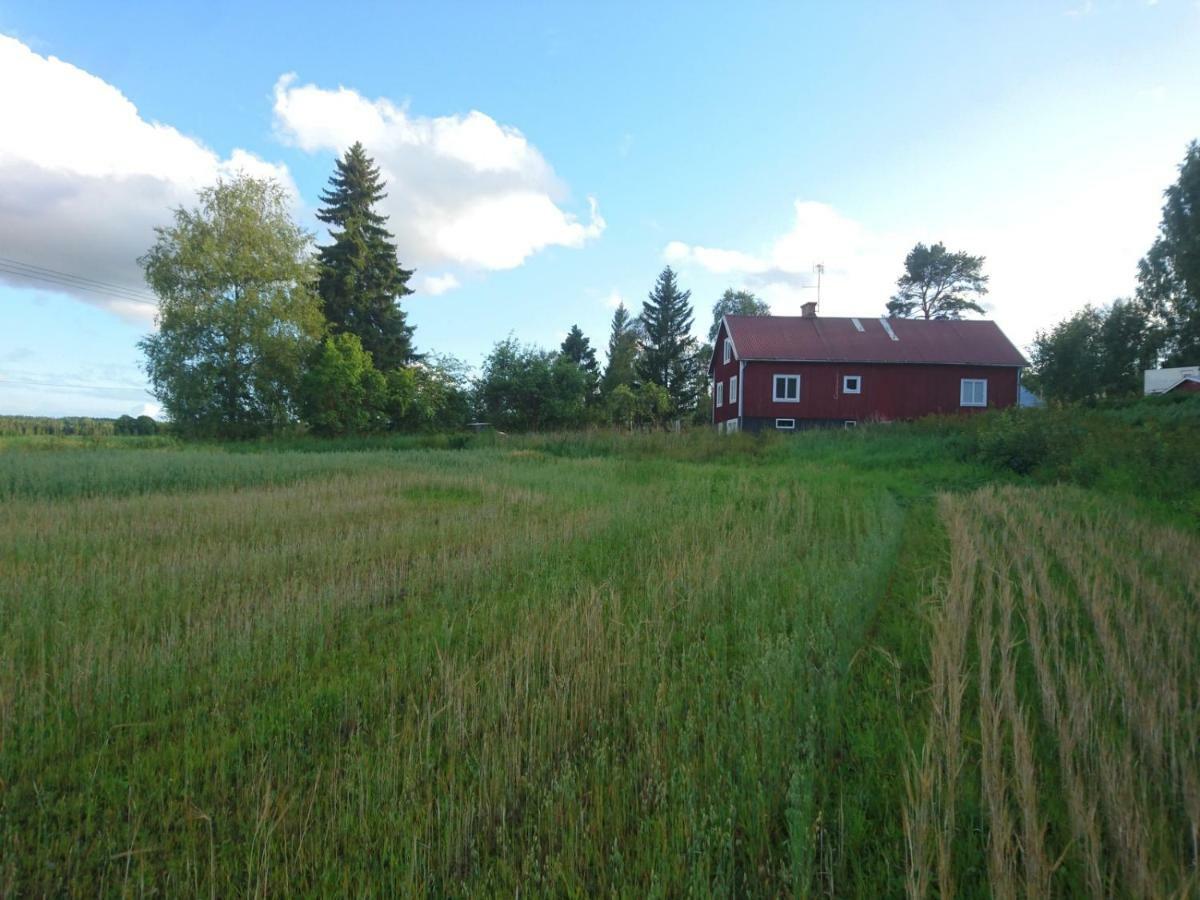 Ett hus med 3 sovrum med supersnabba internet fiberanslutningen 1000mb-100mb i Hög, 7 minuter från Hudiksvall Exteriör bild