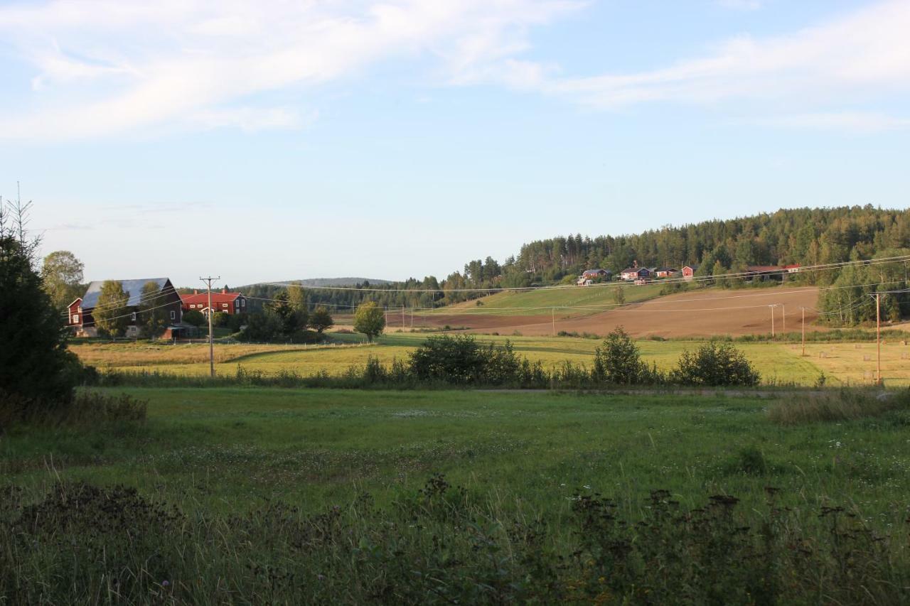 Ett hus med 3 sovrum med supersnabba internet fiberanslutningen 1000mb-100mb i Hög, 7 minuter från Hudiksvall Exteriör bild