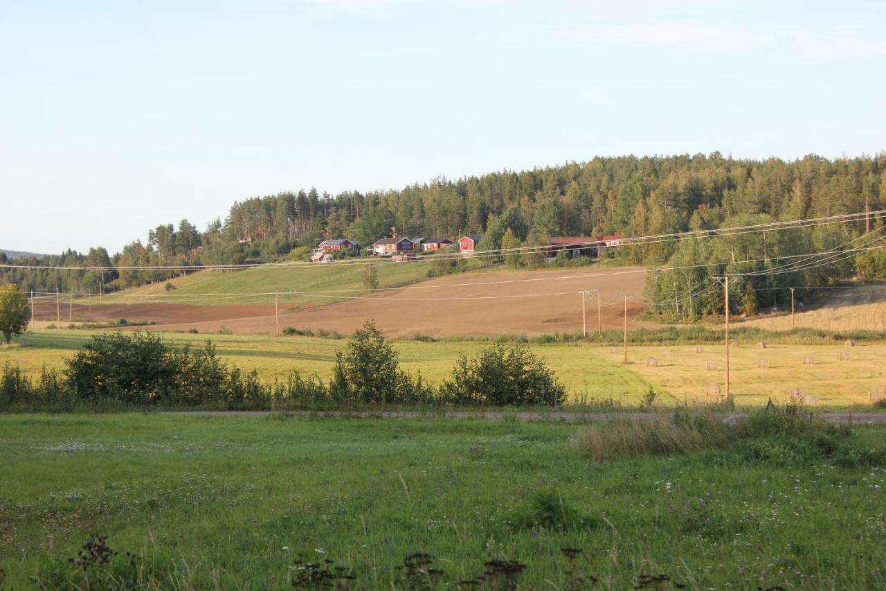 Ett hus med 3 sovrum med supersnabba internet fiberanslutningen 1000mb-100mb i Hög, 7 minuter från Hudiksvall Exteriör bild